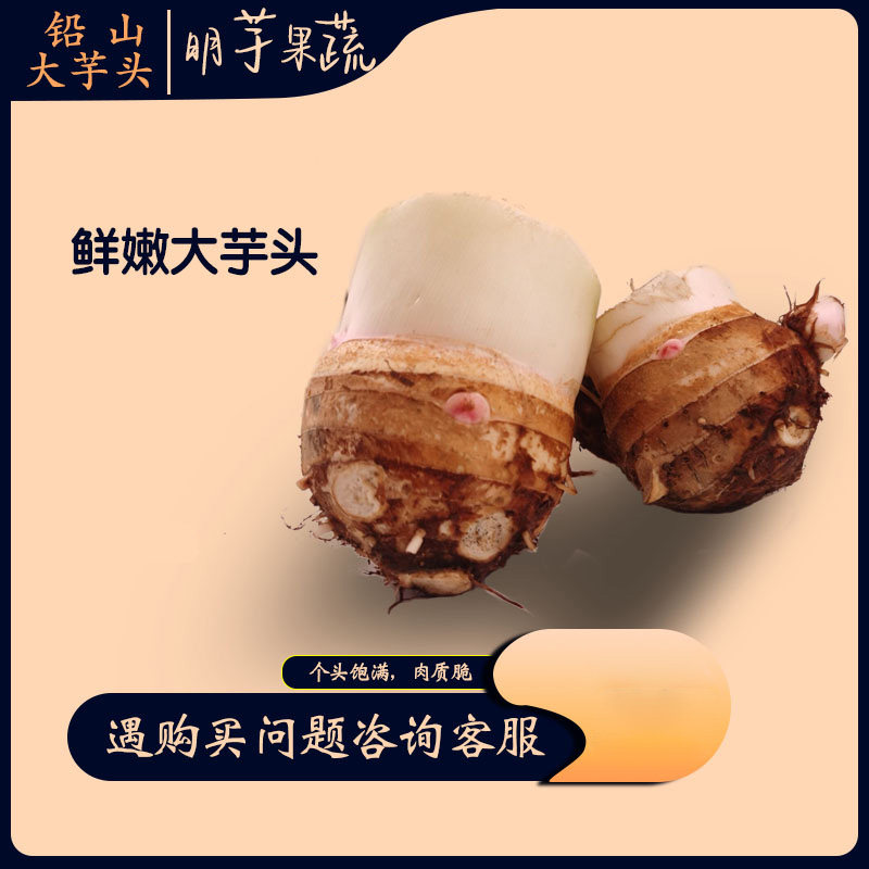 江西芋母大芋头新鲜蔬菜农家自种现挖