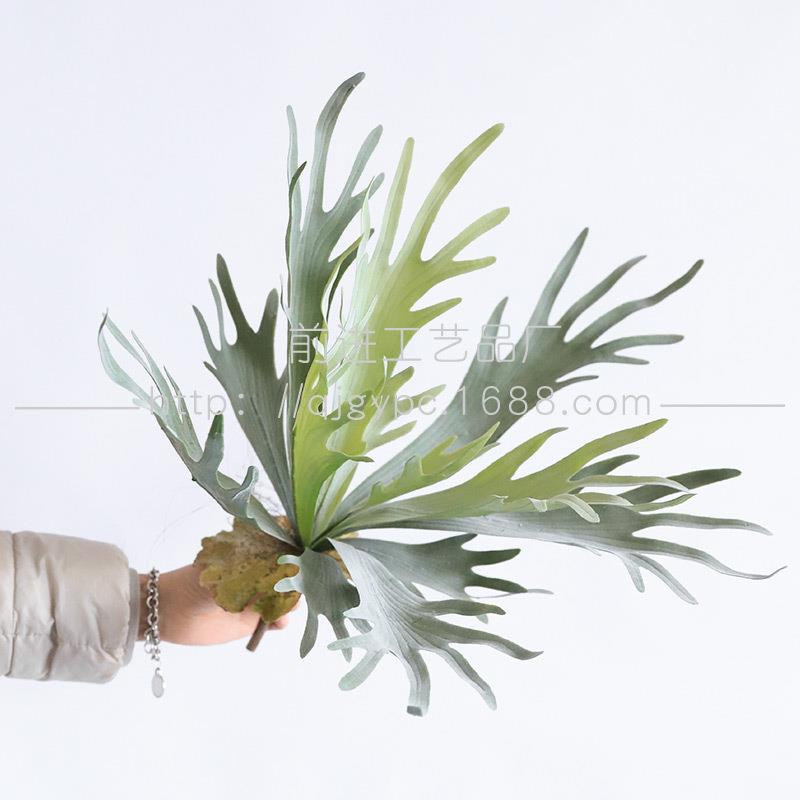 沙生植物仿真绿植鹿角叶景观造景仙人掌搭配绿叶假树叶叶子