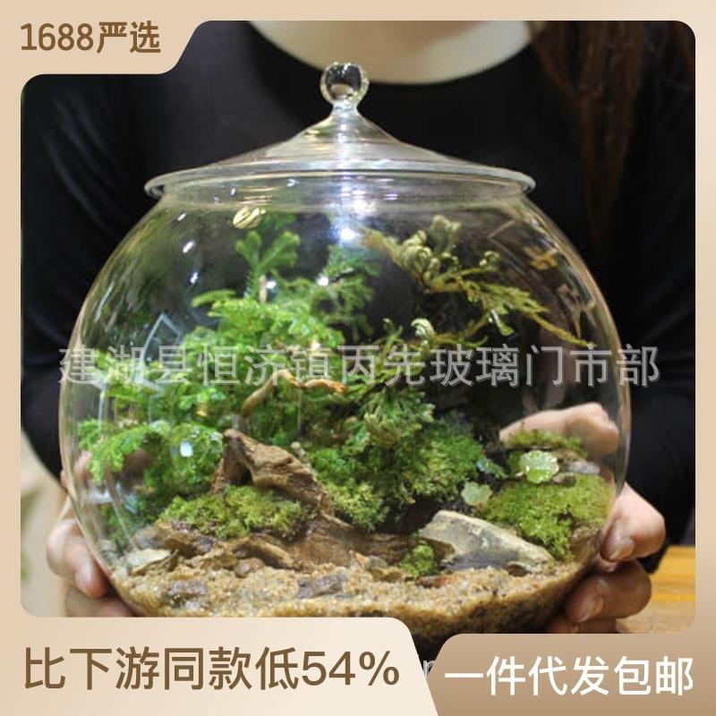 微景观帯盖玻璃瓶 家居摆件玻璃瓶 透明玻璃鱼缸摆饰手工