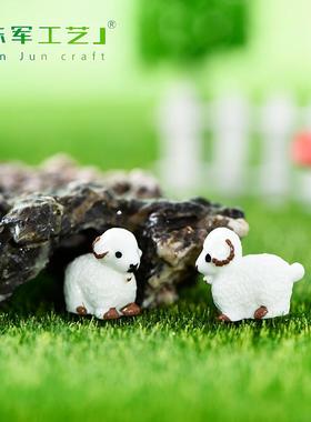 微景观创意苔藓羊宝宝多肉植物园林造景装饰品配件微缩场景小摆件