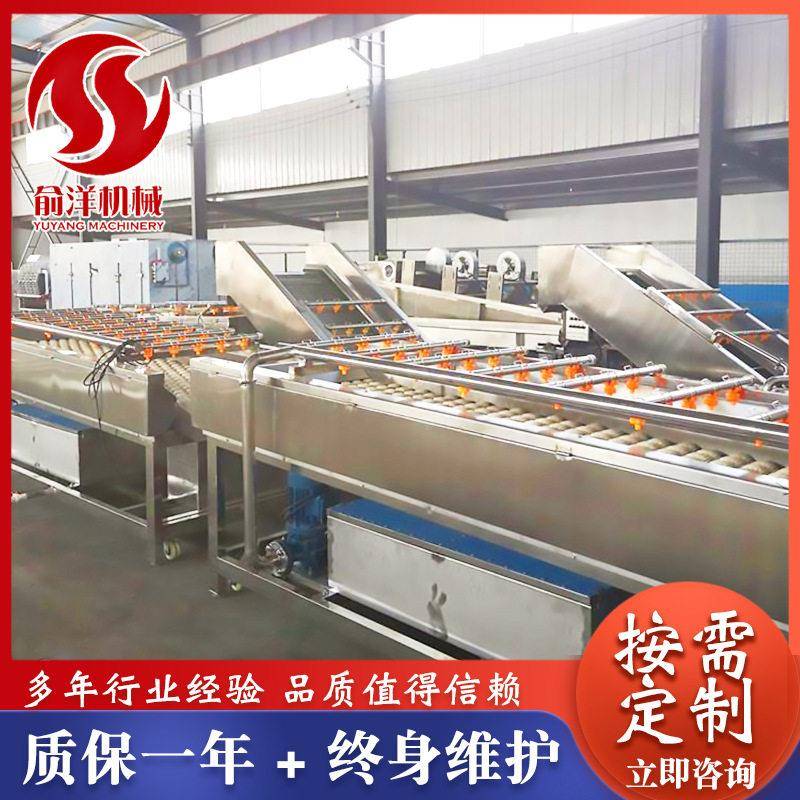 山东食品机械哪家好苹果气泡清洗机诸城俞洋机械厂家供应