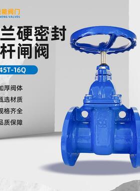 阀门防护闸阀硬密封暗杆铜芯Z45T厂家开关直供铸铁防腐钢制闸芯