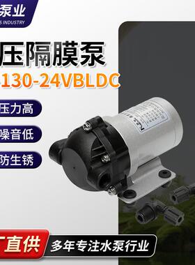 厂家现货供应电动水泵无刷DP-130(BLDC)泵直流高压RO反渗透隔膜泵