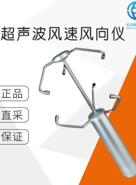 工厂直采 德国Thies CLIMA 超声波风速风向仪3D 4.3830.20.300