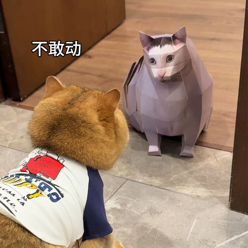 huh猫疑惑猫旋转猫手工DIY纸模型折纸纸猫非成品3D立体送朋友整蛊