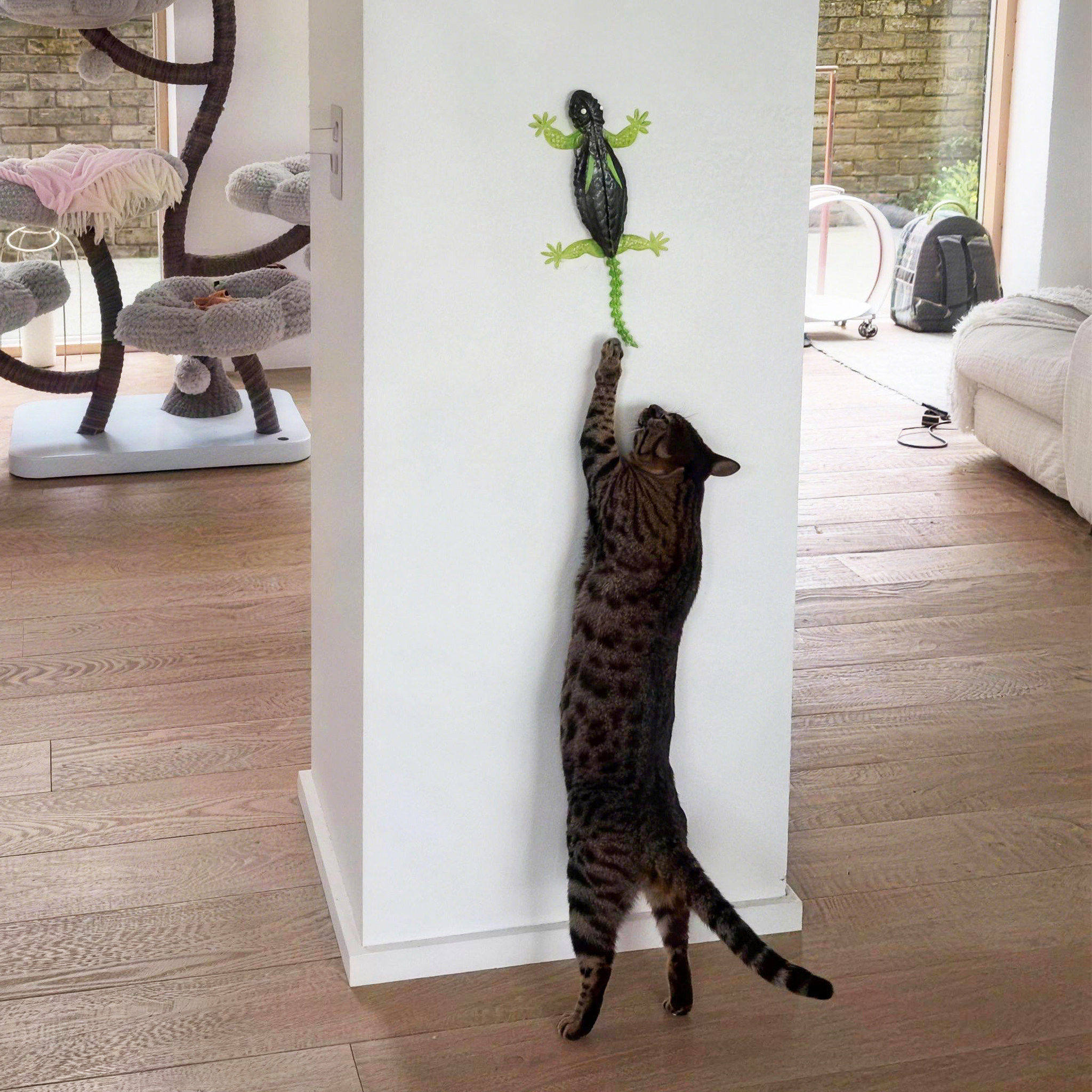 猫咪玩具自嗨解闷小猫巡回互动逗猫神器电动遥控爬墙创意仿真壁虎