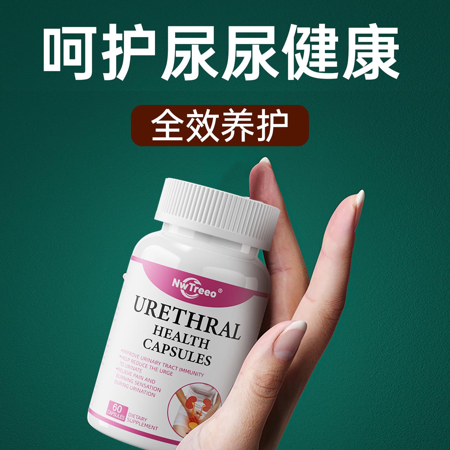 美国原装进口白茅根胶囊尿路康