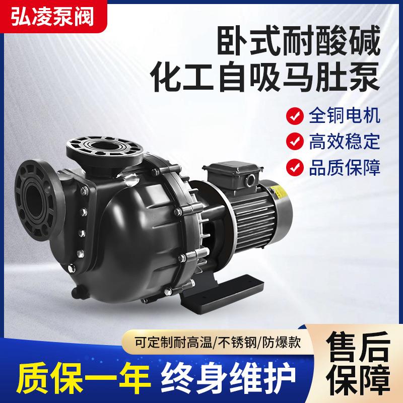 耐酸碱自吸泵肚泵防腐蚀自吸离心化工泵药液输送泵过滤机泵