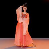 古风刺绣印花齐胸连衣裙国风汉服日常套装 古典舞服新款 广袖 演出服