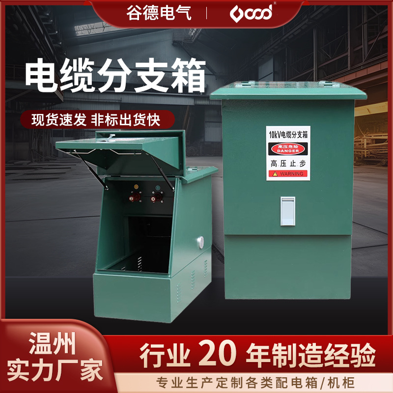 10KV高压电缆分支箱欧式DFW-12/630A一进一二三四五出厂家定制