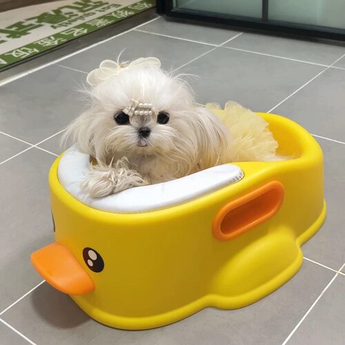 【小型犬专用】防侧翻洗澡盆