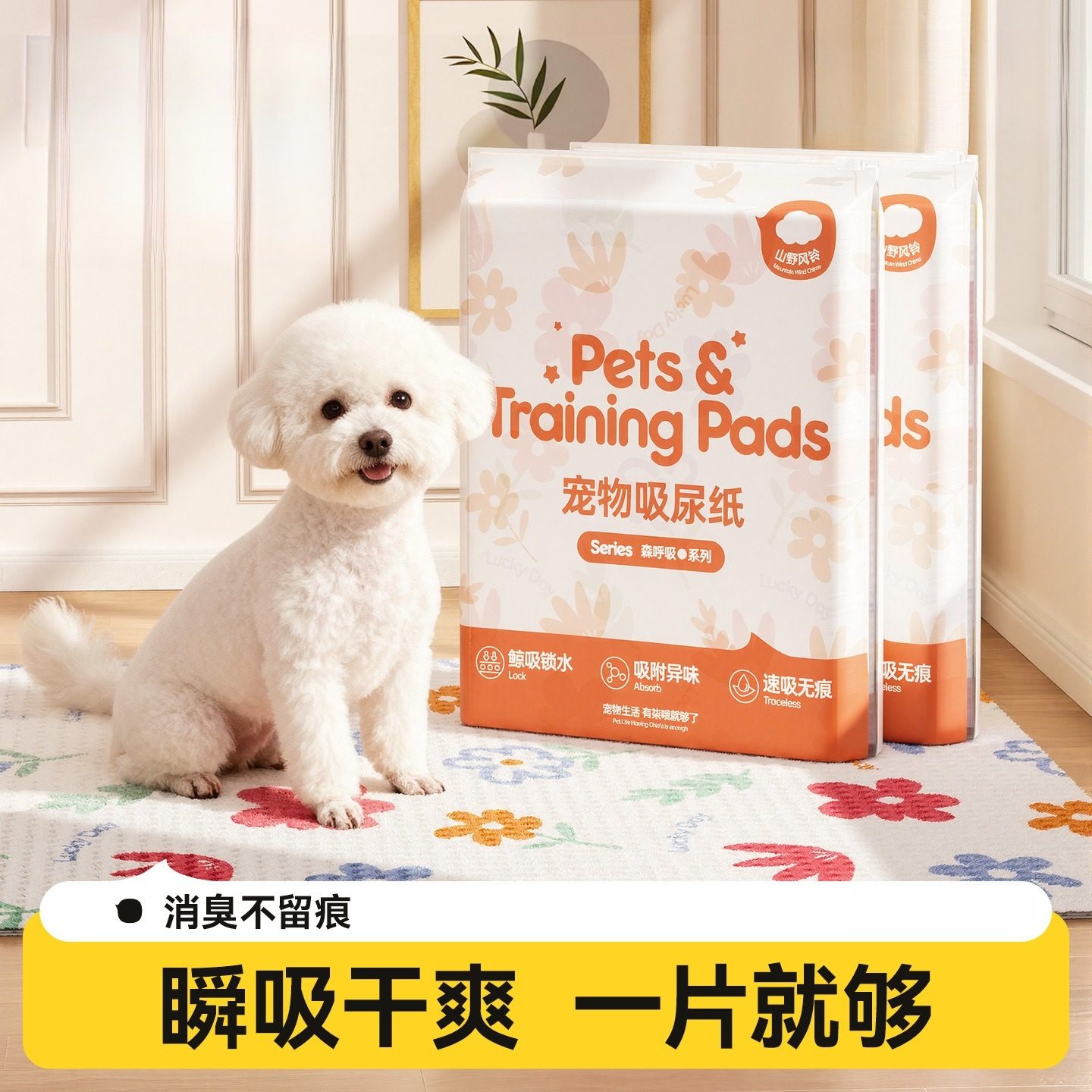 狗狗猫咪一次性加厚除臭吸水纸速干擦尿吸尿高分子宠物尿垫吸尿纸,宠物/宠物食品及用品,尿片/尿垫/护垫,淘宝优惠券,粉丝福利购,淘宝优惠卷