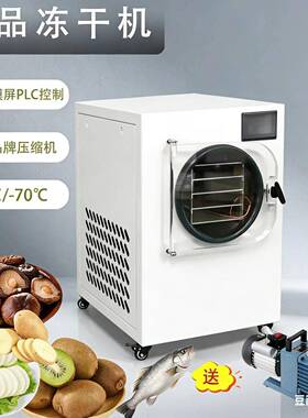 厂家真空冷冻干燥机家用果蔬宠物粮虫草冻干机实验室小型冻干机