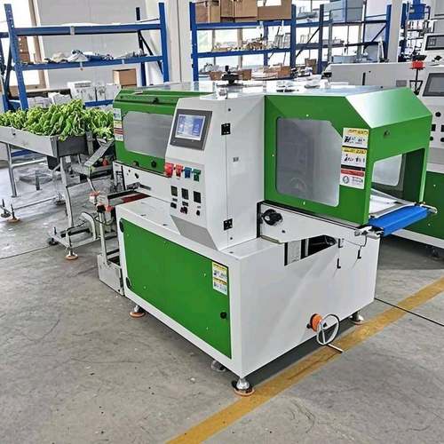 自动冷冻带鱼段枕式包装机速冻海鲜面食冷冻虾鱿鱼花多功能全自动