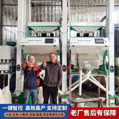 厂家直销小型大米谷物色选机水稻谷子智能筛选机单机价格