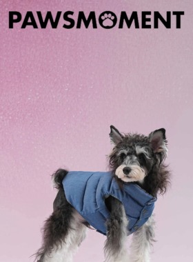 PAWSMOMENT·宠物狗狗春季双面棉服马甲马尔济斯雪纳瑞约克夏