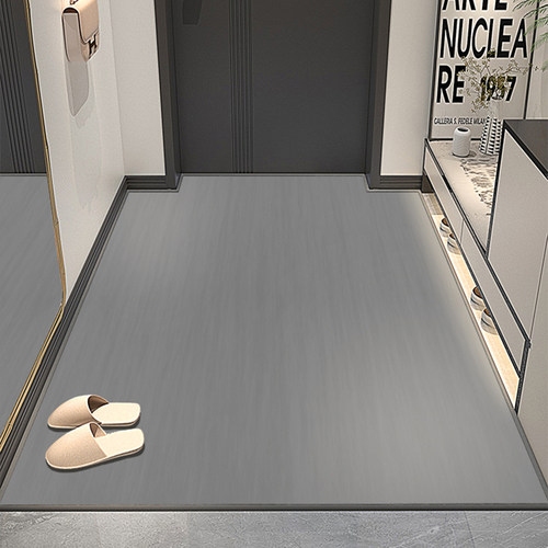 入户门地垫进门高级感垫子进户门垫2025新款入户防滑耐脏脚垫地毯