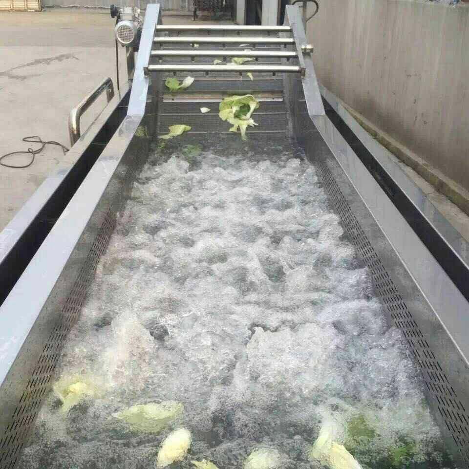 商用辣椒气泡清洗机预制菜加工果蔬清洗机猕猴桃喷淋式清洗设备,清洗/食品/商业设备,果蔬加工设备,淘宝优惠券,粉丝福利购,淘宝优惠卷