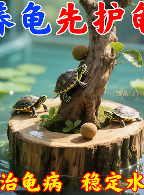 【乌龟专用晒台】天然龙眼木水族箱鱼缸龟缸调节模拟自然生态造景