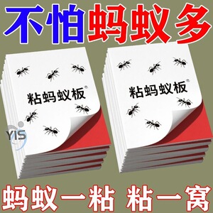 家用蚂蚁粘板蚂蚁贴厨房餐厅蚂蚁贴粘板强力粘板诱捕灭蚁贴驱蚊剂