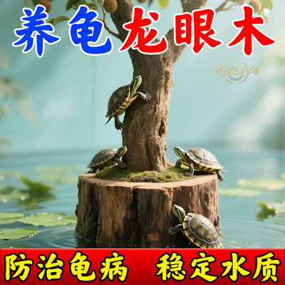 乌龟晒台龙眼木晒背台原生态造景