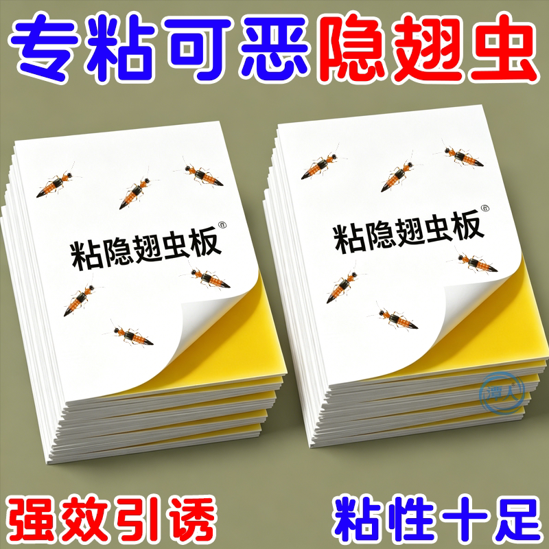 隐翅虫粘板强效引诱粘性十足室内外通用粘蝇纸
