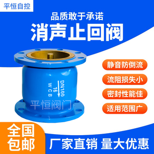 16Q法兰消声止回阀铸铁消音立卧式 单向阀DN40 100 HC41X