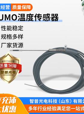 久茂铂热电阻 PT100温度探头双芯直型XH-PT1-212120-150