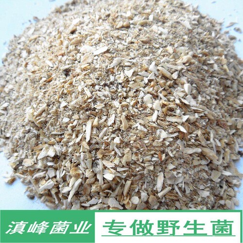 冻干野生松茸菌纯菌粉干货 云南香格里拉土特产野山蘑菇 煲汤很鲜