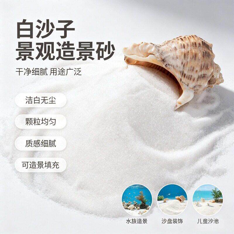 厂家现货园林水族造景白沙子沙盘模型肌理沙画原料雪花白白沙子