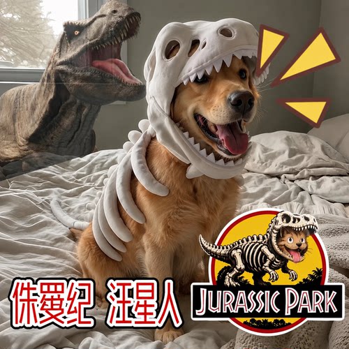 狗狗拍照搞怪恐龙骨架头套