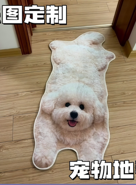 小狗地毯宠物家用垫子来图定制不加价异形不规则形状水晶绒装饰品