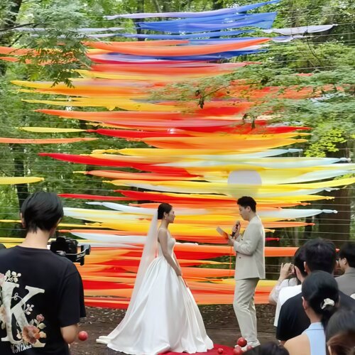 纱幔风动纱幔结婚装饰场景布置婚礼吊顶拉花氛围感神器渐变色现场