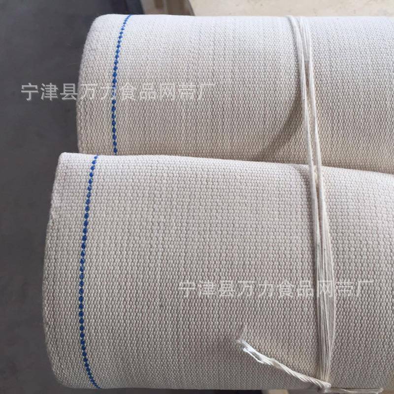 山东厂家清洗设备输送带帆布传送带帆布输送带pvc输送传送带优惠