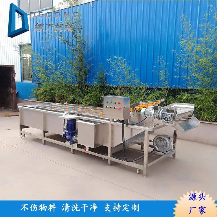 商用全自动洗菜机果蔬气泡清洗机厂家中药材玉米须叶类蔬菜清洗机