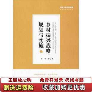【正版图书】乡村振兴战略规划与实施绿维文旅控股集团绿维开发运营丛书林峰著中国农业出版社9787109240308