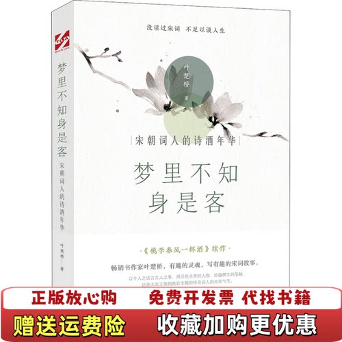 【正版图书】梦里不知身是客叶楚桥时代文艺出版社9787538761399