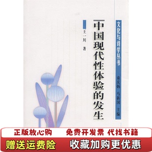 发生清末民初文化转型与文学馆藏王一川北京师范大学出版 中国现代性体验 图书 社9787303057740 正版