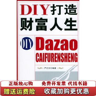 编石油工业出版 DIY打造财富人生严行方 图书 社9787502149703 正版