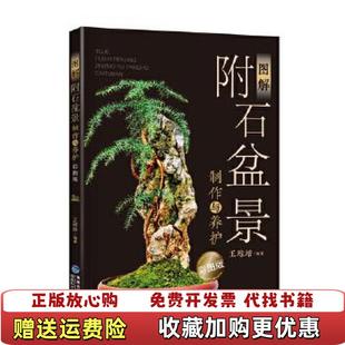 正版 著福建科技出版 图书 王琼培 社9787533551247 图解石盆景制作与养护彩图版