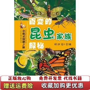 【正版图书】视界无界写给UI设计师的设计书王涵著电子工业出版社9787121288258