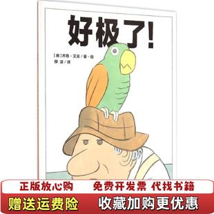 正版 译广西师范大学出版 图书 著柳漾 社9787549564019 好极了美乔恩艾吉