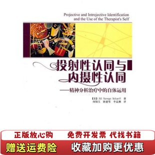 【正版图书】投射性认同与内摄性认同美沙夫  著闻锦玉  译中国轻工业出版社9787501983025