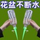 日系懒人滴水器养花浇花神器出差出门滴灌自动浇水家用定时怀炉套