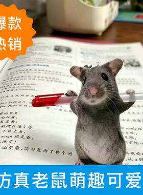 可爱彷真搞怪老鼠干挂件恶搞礼物抽象公仔生日送朋友同学可爱装饰