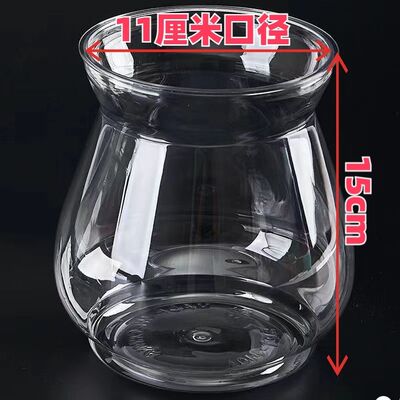 高透明塑料四季水培大蒜红薯郁金