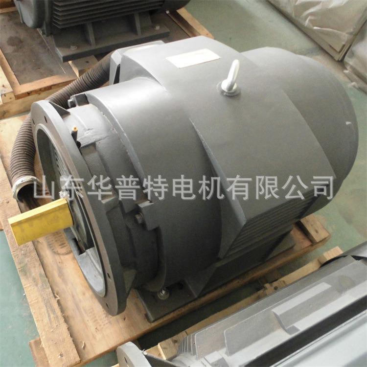 B35立卧两用加长引线160W压缩机空压机用电机IP23Y280