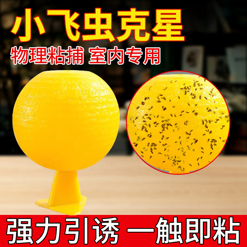 果蝇小飞虫诱捕粘蝇球