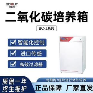 J二氧化碳培养箱细胞细菌微生物CO2厌氧箱 上海BC