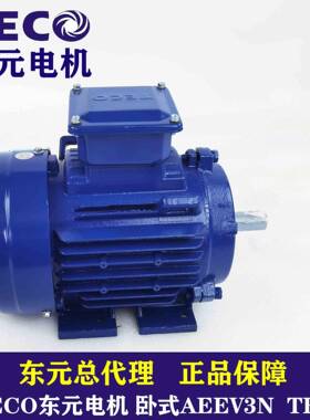 现货直发立卧式三相小型调速电机TECO电机